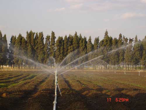 荷兰Formosa公司--昆明育种基地喷灌工程