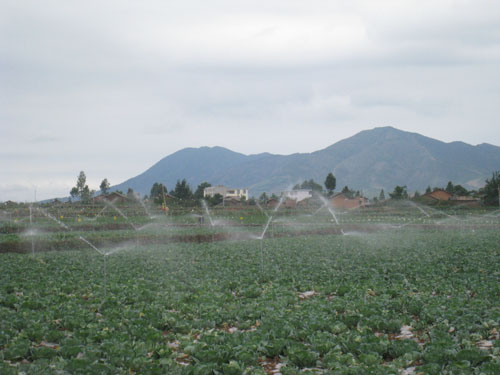 昭阳区农业局--无公害蔬菜基地喷灌系统安装工程