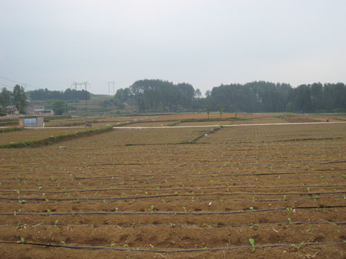 贵州省福泉市烟草公司--烤烟种植基地喷灌及滴灌系统安装工程