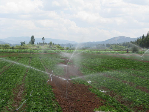 晨农集团云南恒进农业公司--安宁蔬菜基地灌溉系统安装工程